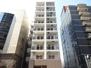 MARK FIELDSの画像