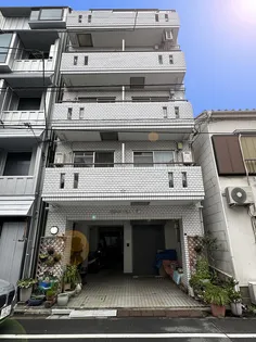 グローリーハウス染の画像