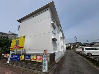 ボンボワザンひらたの画像
