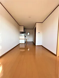 UNISON光の画像