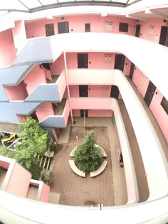 東京都杉並区堀ノ内1【マンション】の外観