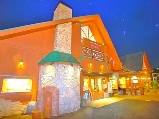 メゾン・ルシェッロ【3階】の周辺