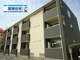 アマルフィ37の画像