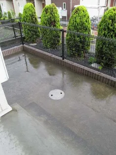 サンリット・栄和 A棟【1階】の内装