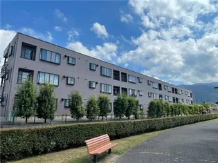 ラッズ ウィングの画像