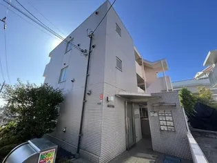 シェスタカメオの画像