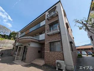 ピュア 中通りの画像