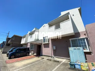 オリーブの画像