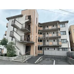 センペルの画像