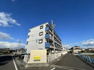 グリンピア花水木の画像