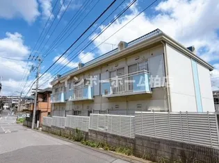 サンシティソガの画像