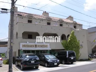 ARIESヤシロダイの画像