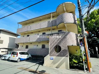 グランソシエ黒髪IIの画像