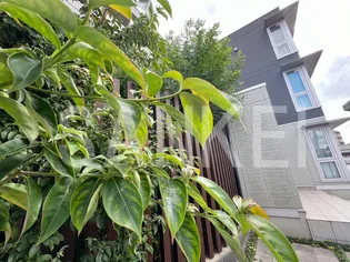 岡山県倉敷市老松町1【アパート】の外観