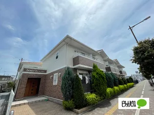 デンテ ディ レオーネの画像