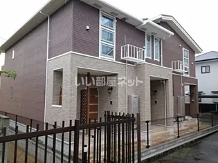 レティスNの画像