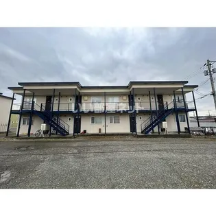 フェイス柏木 Dの画像