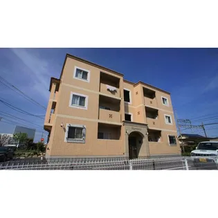 マルビエントの画像