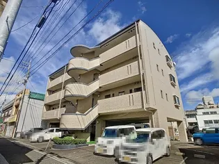 Y Sフラットの画像