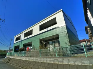 プラシードの画像