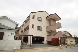 サルビア石和の画像