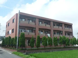 ネオサンライズの画像