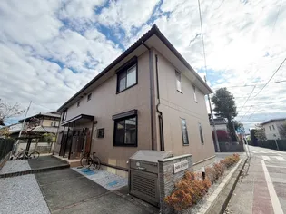 PATTE DE LAPINの画像