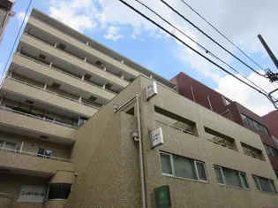 シルキーハイツ九段南二号館【8階】の外観