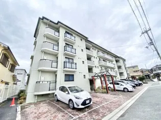 ラピス開栄の画像