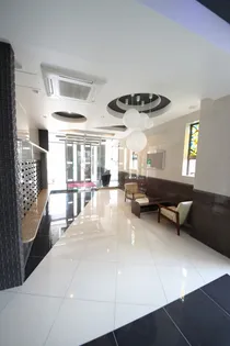 ヴィーラブライトの画像