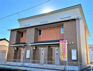 ワカバミントの画像