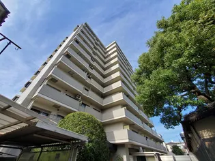 ビューテラス大新【5階】の外観