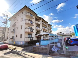 シャロームD【4階】の外観