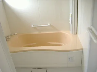 アブニール新涯 D棟の風呂