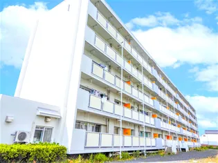 ビレッジハウス斐川 1号棟【1階】の外観