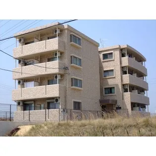 エクスナイズの画像