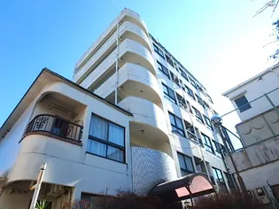 キャッスルマンション大山の画像