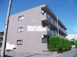 グレース奥津の画像