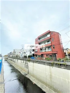 リバーサイド丸山【4階】の外観