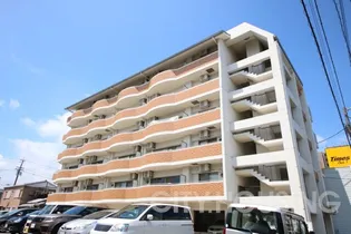 パレス中洲の画像