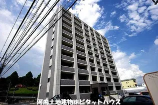 アルトカッシーナの画像