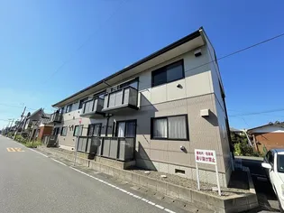 Nミレニアムの画像