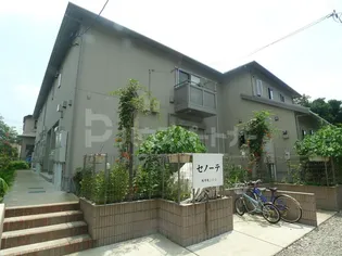 セノーテ【1階】の外観