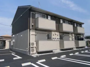 セジュールウィット キャンベルの画像