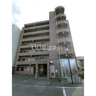 アコールヤマショウの画像