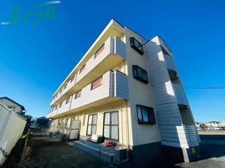 アムールヴァンの画像