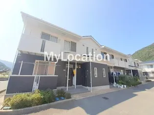 シャルムCの画像