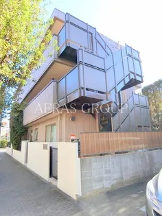 キングスネストの画像