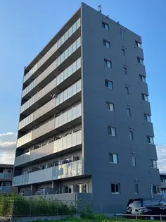 セルティスの画像