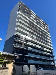 プロミネント アリオの画像